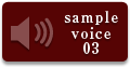 samplevoice03